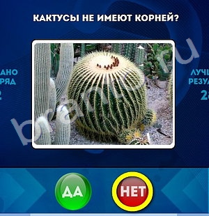 Решения на игру Да или Нет Уровень 1233