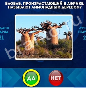 Да или Нет решения Уровень 1252