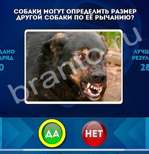 Игра Да или Нет подсказки Уровень 1258