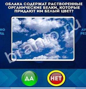 игра Да или Нет ответ на Уровень 1280