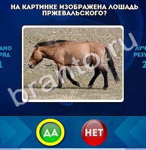 Да или Нет решения Уровень 1282