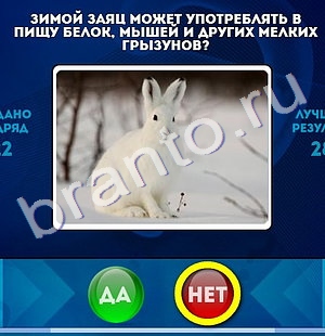Да или Нет игра ответы Уровень 1283