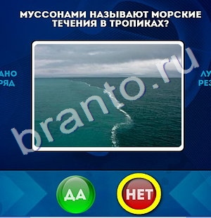 игра Да или Нет помощь Уровень 1289