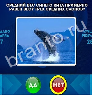 Одноклассники Да или Нет ответы Уровень 1298