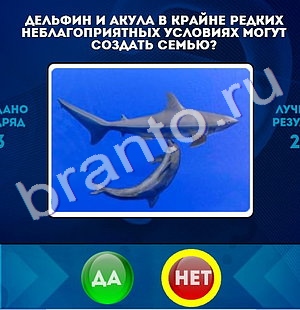 Да или Нет ответы в картинках Уровень 1306