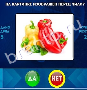 Игра Да или Нет подсказки Уровень 1308
