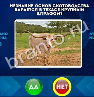 ответы на игру в одноклассниках Да или Нет Уровень 1326