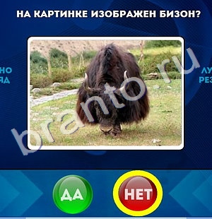 Да или Нет игра ответы в одноклассниках Уровень 1327