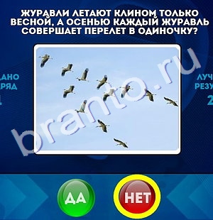 Да или Нет игра ответы Уровень 1333