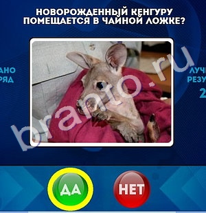 игра Да или Нет помощь Уровень 1339