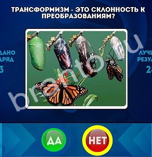 решебник на игру Да или Нет Уровень 1341