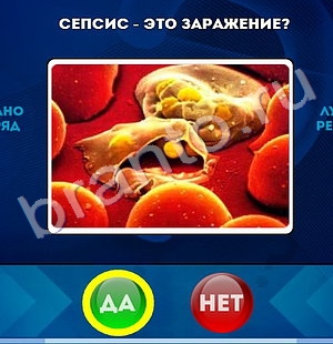 Игра Да или Нет ответы Уровень 1367