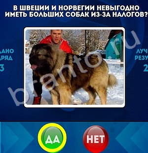 Да или Нет решения Уровень 1372