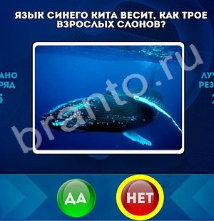 Да или Нет игра подсказки Уровень 1374