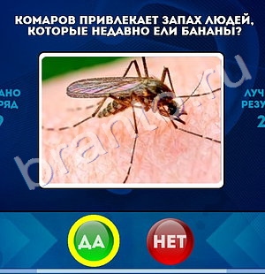 Игра Да или Нет подсказки Уровень 1378