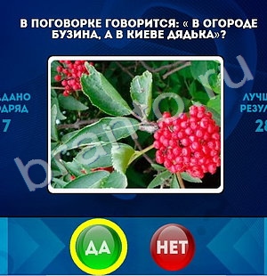 Одноклассники Да или Нет ответы Уровень 1418