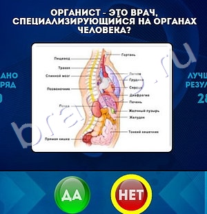 решебник на игру Да или Нет Уровень 1421