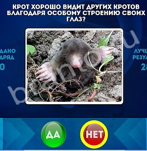 Да или Нет игра ответы Уровень 1423