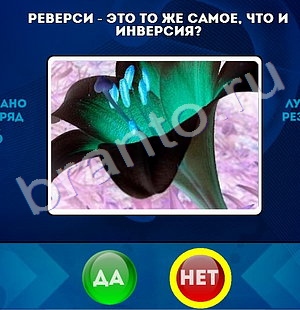 игра Да или Нет помощь Уровень 1429