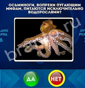 решебник на игру Да или Нет Уровень 1481