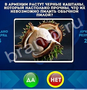 Игра Да или Нет ответы Уровень 1487