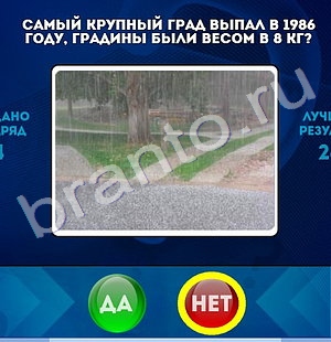Игра Да или Нет подсказки Уровень 1488