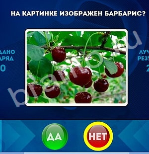 Да или Нет игра подсказки Уровень 1494