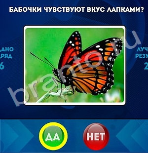 игра Да или Нет ответ на Уровень 1500