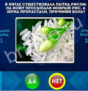 Подсказки на игру Да или Нет Уровень 1502