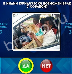 Игра Да или Нет ответы Уровень 1527