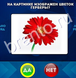 ответы на игру Да или Нет в одноклассниках Уровень 1561