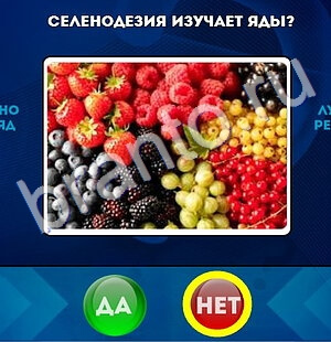 Да или Нет игра ответы в одноклассниках Уровень 1567