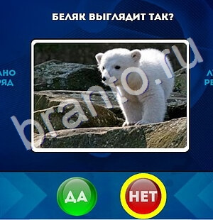 Да или Нет решения Уровень 1572