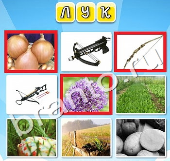 скриншоты с ответами Фото к слову уровень 74