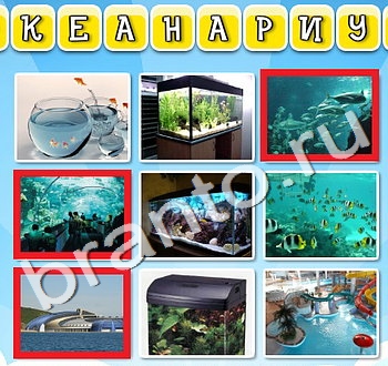 ответы на игру вконтакте фото к слову уровень 75