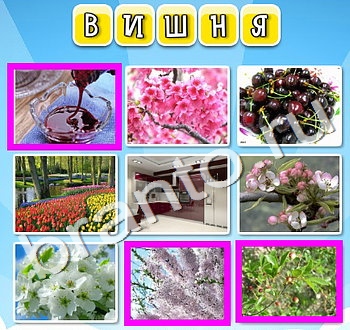 ответы на игру Фото к слову уровень 86