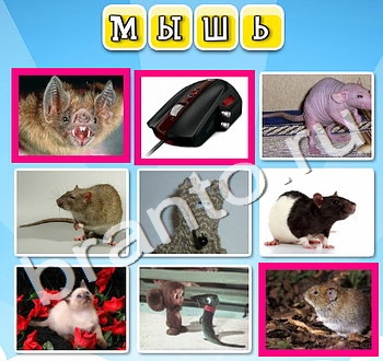 ответы на игру Фото к слову уровень 88