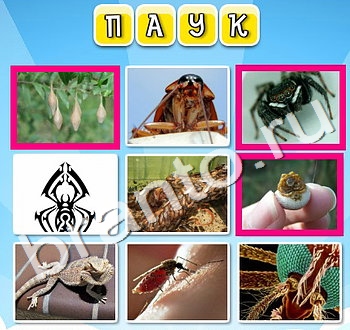 Фото к слову игра ответы ВК уровень 90