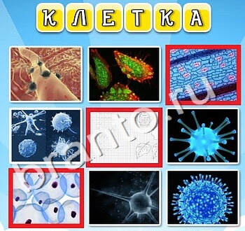 игра Фото к слову помощь ВК уровень 128