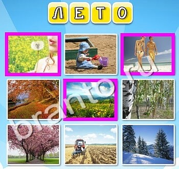 скриншоты с ответами Фото к слову уровень 134