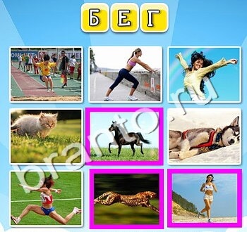 ответы на игру вконтакте фото к слову уровень 135