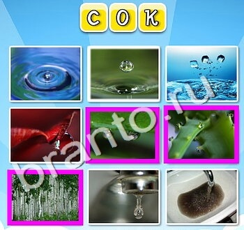 ответы на игру Фото к слову уровень 142