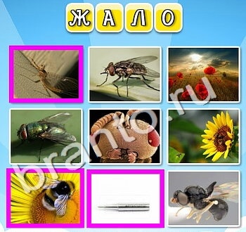 Фото к слову ВК ответ на уровень 143