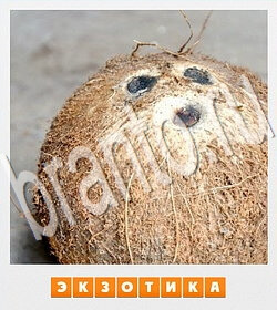 Фотослово - разгадай слово по фотографии ответ на уровень 72