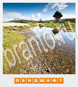 скриншоты с ответами Фотослово - разгадай слово по фотографии уровень 74