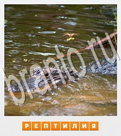 ответы на игру вконтакте фотослово уровень 75