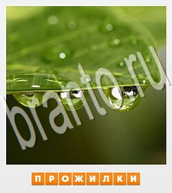 Фотослово - разгадай слово по фотографии игра решения уровень 76