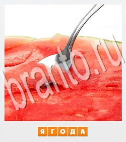 ответы на игру Фотослово - разгадай слово по фотографии уровень 82