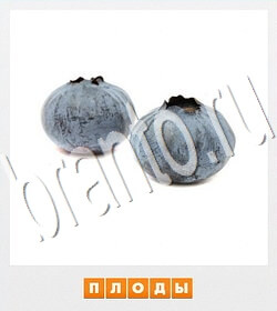 ответы на игру Фотослово контакт уровень 89