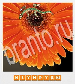 игра Фотослово - разгадай слово по фотографии відповіді в контакте уровень 100